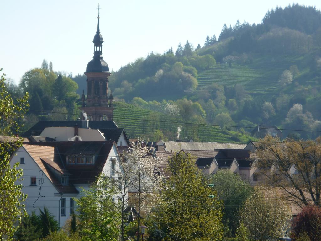Schwarzwald Villa Генгенбах Экстерьер фото