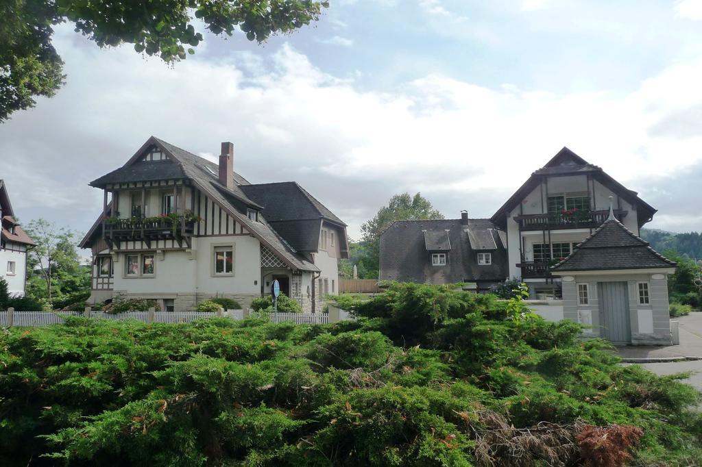 Schwarzwald Villa Генгенбах Экстерьер фото